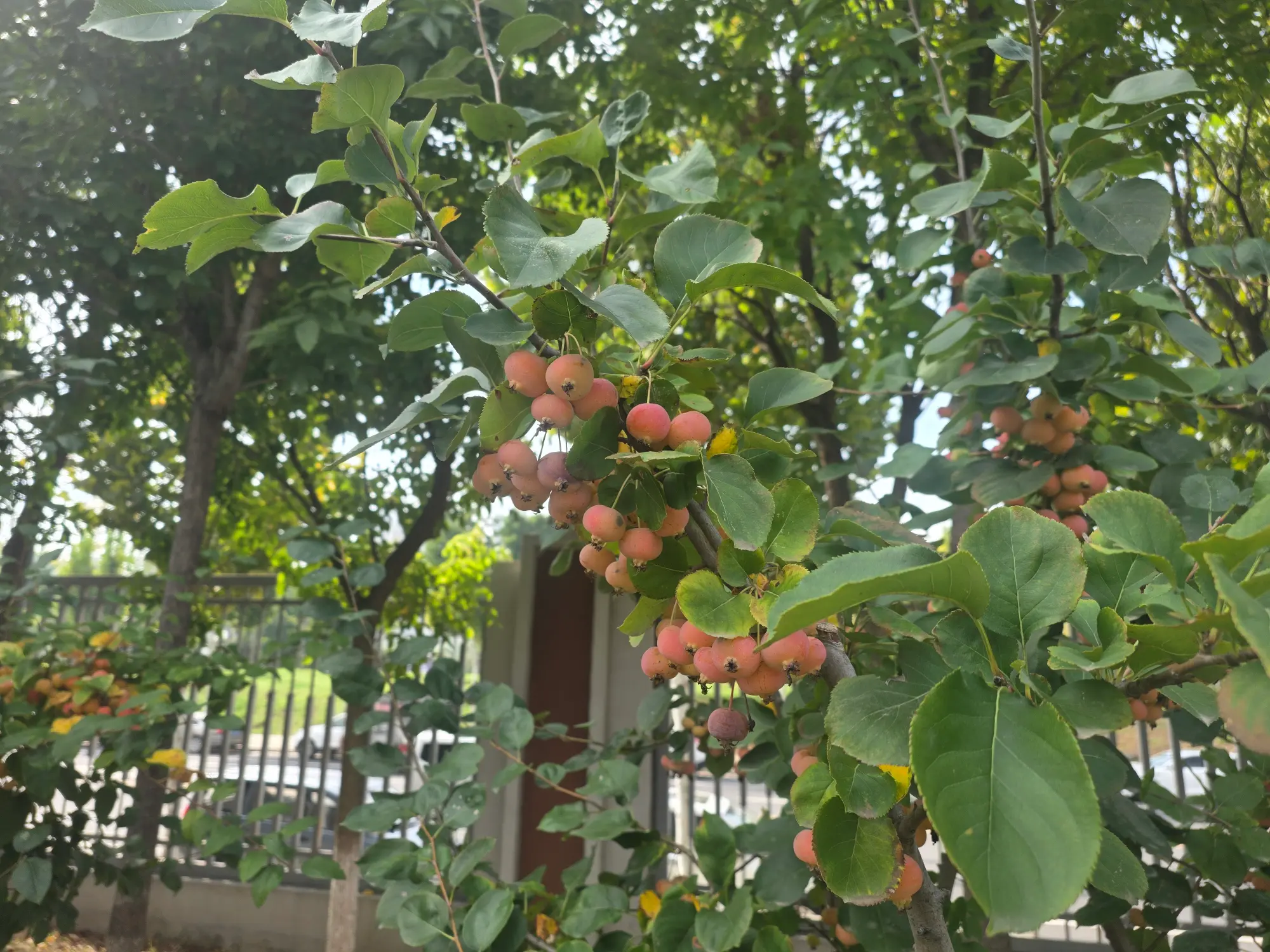 微信图片_20261015112127_968_3